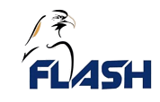 flash-removebg-preview